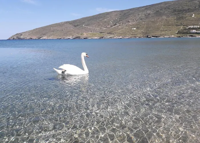 Liopi Village Andros * Ormos (Andros)
